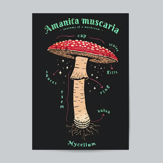 Anatomy Of Mushroom #Aesthetic Wall Poster Posters Postor Shop anatomy-of-mushroom-aesthetic-wall-poster Postor Shop 